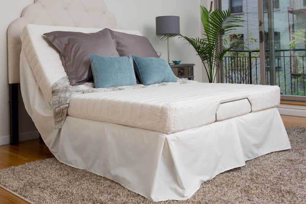 Transfer Master Supernal Hi-Low Height Adjustable Medical Bed For Home with Weight Capacity - Image 6